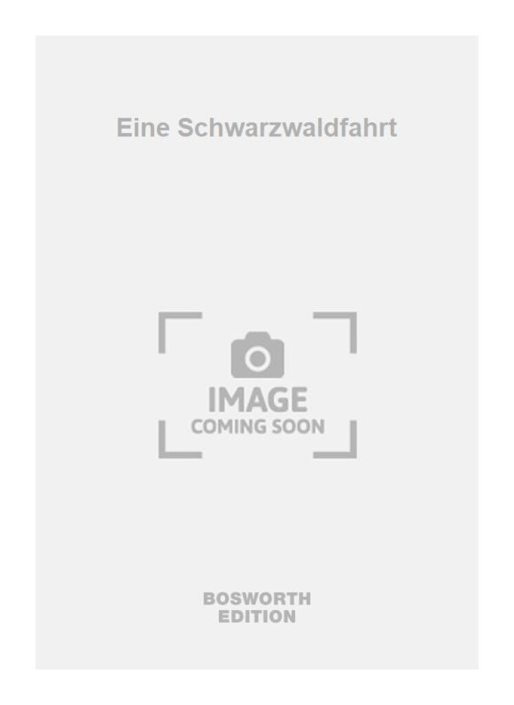 Eine Schwarzwaldfahrt